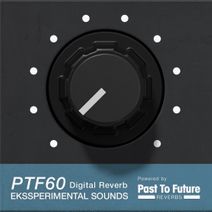 PTF60 Digital Reverb